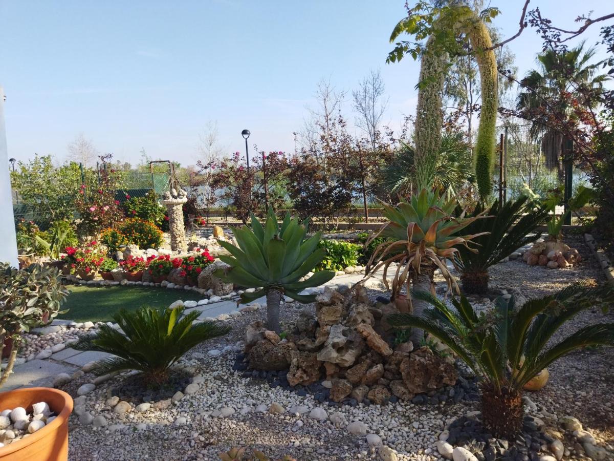 Casa Joan De L'Illa Villa Deltebre Luaran gambar